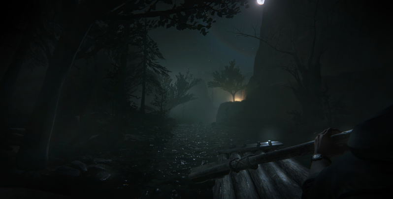 Outlast 2 <span class="ext" style="background-color: #2a475e; color: #FFFFFF;">STEAM</span> <span class="ext ext_digital">digital</span> image 5