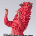 S.H.Figuarts Ultra Seven: Pandon thumbnail 2