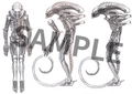 figma No. SP-108: Alien Takayuki Takeya Ver. thumbnail 11
