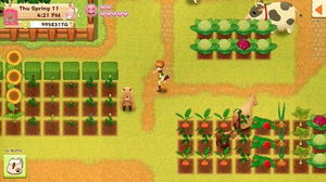 Harvest Moon: Light of Hope [Collector's Edition]_