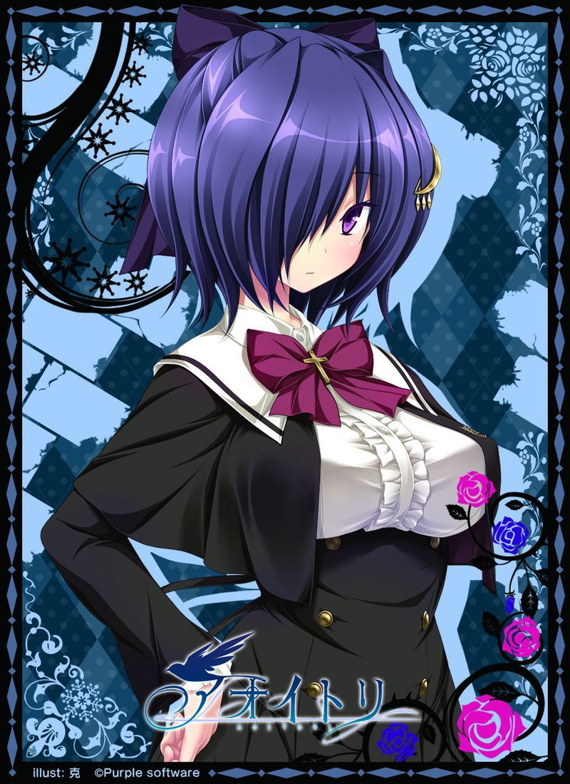 Aoi Tori Nexnet Girls Sleeve Collection Vol. 102: Sayo image 1