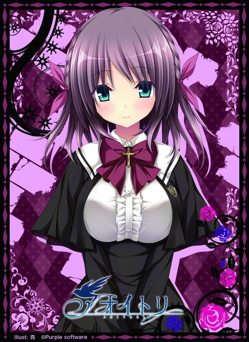 Aoi Tori Nexnet Girls Sleeve Collection Vol. 105: Akari image 1