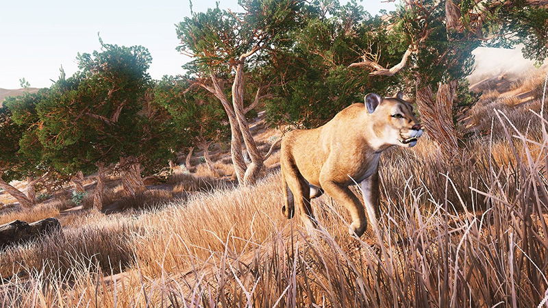 Hunting Simulator image 7