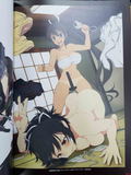 Senran Kagura Burst Re:Newal Official Illustration Collection thumbnail 2