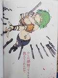 Senran Kagura Burst Re:Newal Official Illustration Collection thumbnail 3