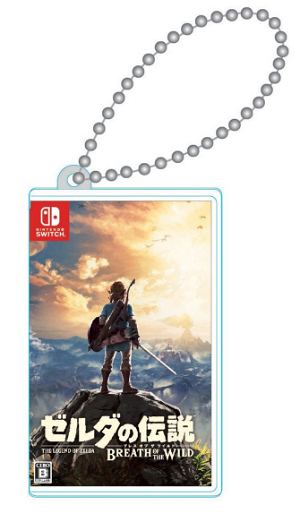 The Legend of Zelda Breath of the Wild Mini Card Pocket for Nintendo Switch