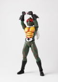 S.H.Figuarts Kamen Rider Amazon: Kamen Rider Amazon (Shinkocchou Seihou) thumbnail 3