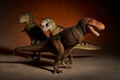 Soft Vinyl Toy Box 018C Tyrannosaurus Rex (Classic Image Color) thumbnail 10