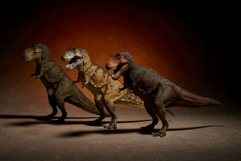 Soft Vinyl Toy Box 018C Tyrannosaurus Rex (Classic Image Color) image 11
