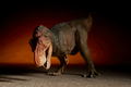 Soft Vinyl Toy Box 018C Tyrannosaurus Rex (Classic Image Color) thumbnail 12