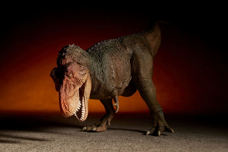 Soft Vinyl Toy Box 018C Tyrannosaurus Rex (Classic Image Color) image 12
