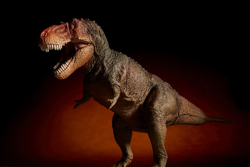 Soft Vinyl Toy Box 018C Tyrannosaurus Rex (Classic Image Color) image 13
