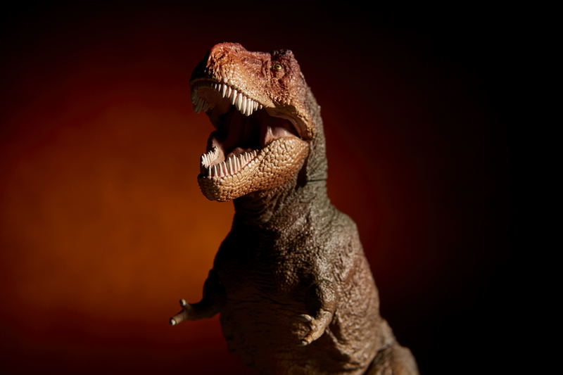 Soft Vinyl Toy Box 018C Tyrannosaurus Rex (Classic Image Color) image 14