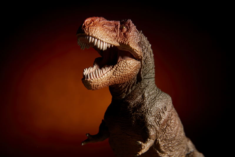 Soft Vinyl Toy Box 018C Tyrannosaurus Rex (Classic Image Color) image 15