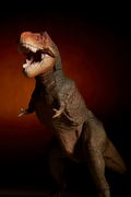 Soft Vinyl Toy Box 018C Tyrannosaurus Rex (Classic Image Color) thumbnail 17