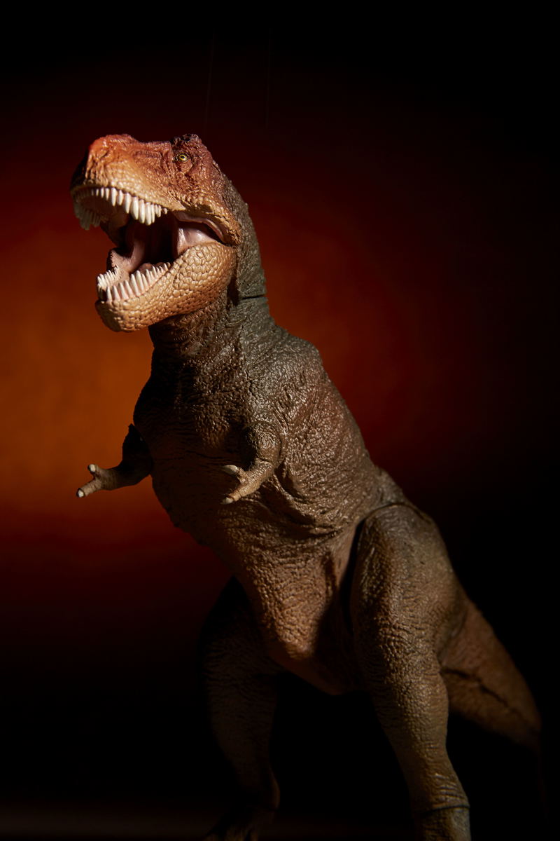 Soft Vinyl Toy Box 018C Tyrannosaurus Rex (Classic Image Color) image 17
