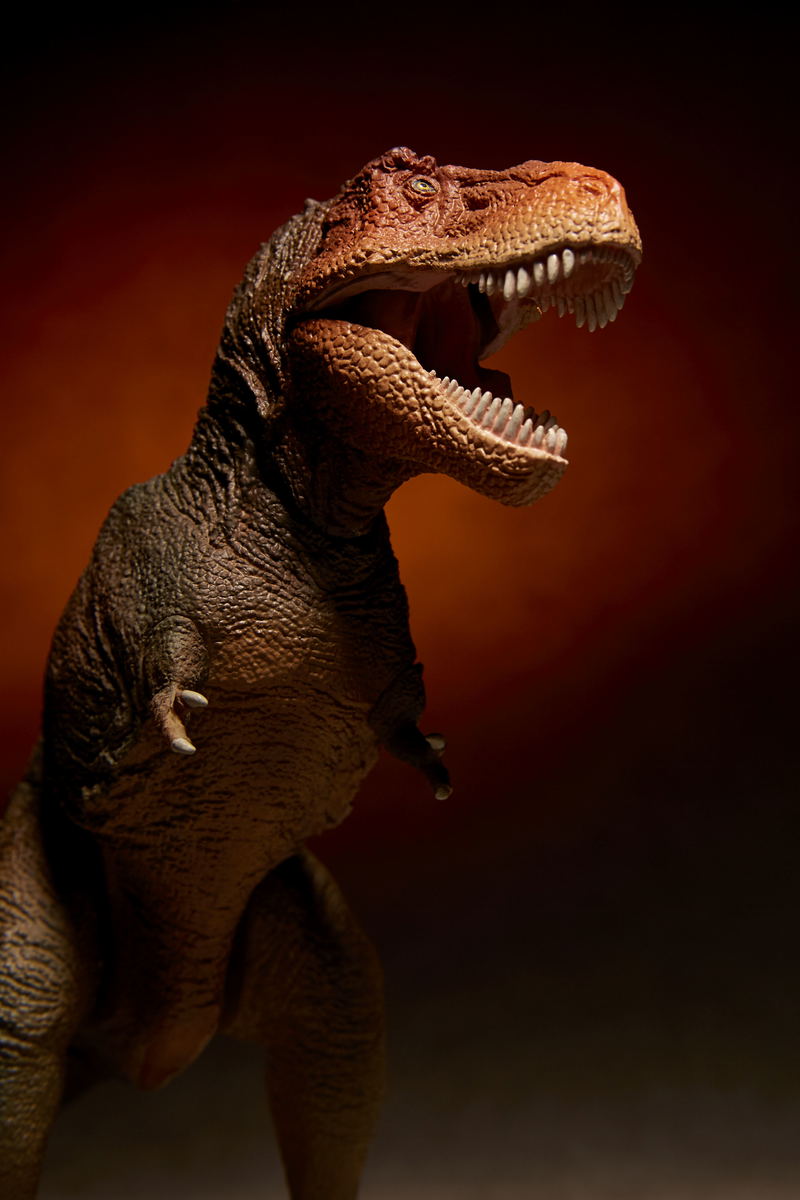 Soft Vinyl Toy Box 018C Tyrannosaurus Rex (Classic Image Color) image 18