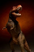Soft Vinyl Toy Box 018C Tyrannosaurus Rex (Classic Image Color) thumbnail 19