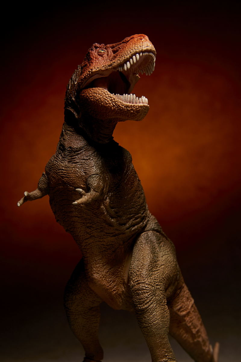 Soft Vinyl Toy Box 018C Tyrannosaurus Rex (Classic Image Color) image 19