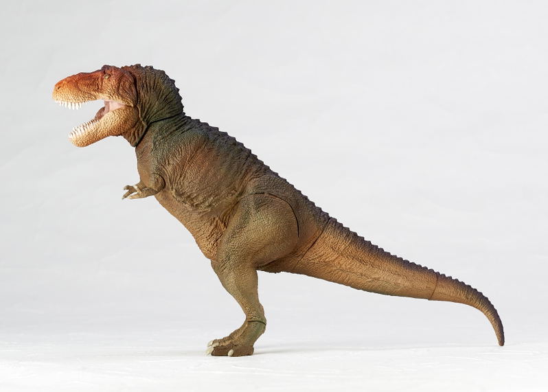 Soft Vinyl Toy Box 018C Tyrannosaurus Rex (Classic Image Color) image 21