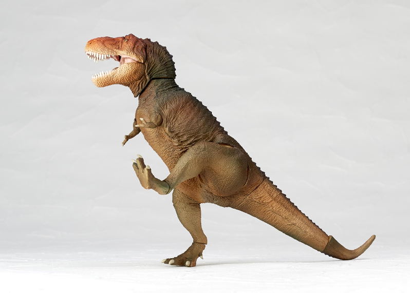 Soft Vinyl Toy Box 018C Tyrannosaurus Rex (Classic Image Color) image 22