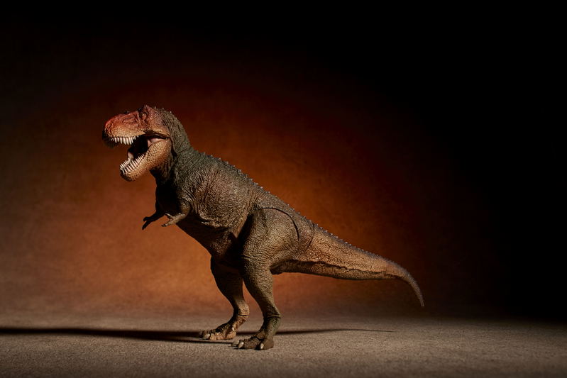 Soft Vinyl Toy Box 018C Tyrannosaurus Rex (Classic Image Color) image 4
