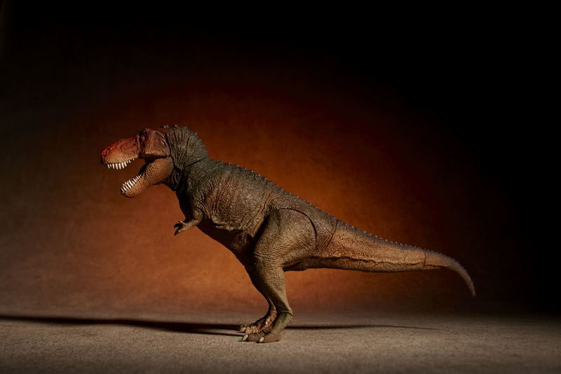 Soft Vinyl Toy Box 018C Tyrannosaurus Rex (Classic Image Color) image 5