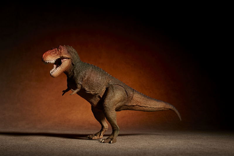 Soft Vinyl Toy Box 018C Tyrannosaurus Rex (Classic Image Color) image 6