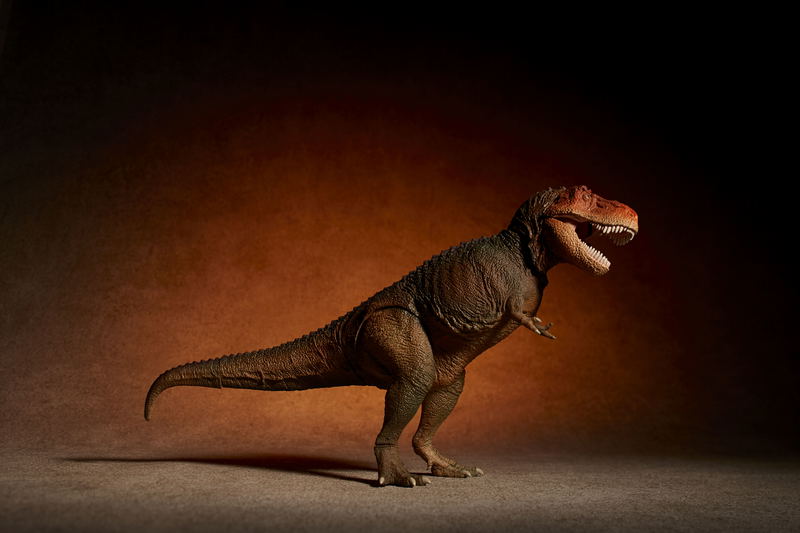 Soft Vinyl Toy Box 018C Tyrannosaurus Rex (Classic Image Color) image 7