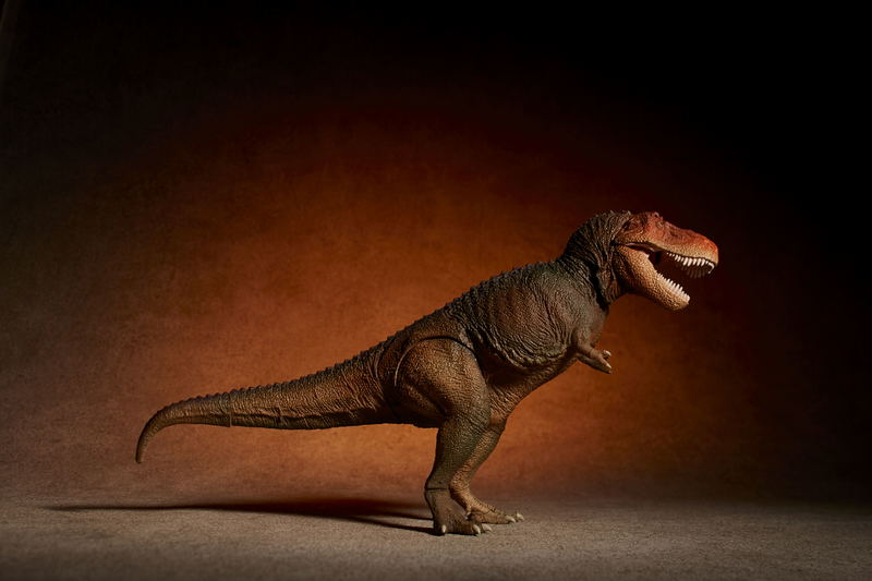 Soft Vinyl Toy Box 018C Tyrannosaurus Rex (Classic Image Color) image 8