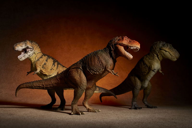 Soft Vinyl Toy Box 018C Tyrannosaurus Rex (Classic Image Color) image 9