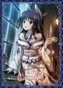 Hapymaher Nexnet Girls Sleeve Collection Vol. 108: Hasuno Saki image 1