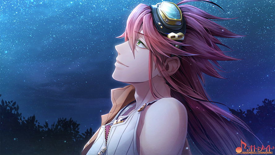 Code: Realize Saikou no Hanataba for Nintendo Switch, Nintendo