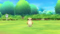 Pocket Monsters Let's Go! Eevee (Multi-Language) thumbnail 5