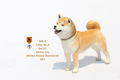 Mr.Z 1/6 Scale Animal Model: Japanese Shiba Inu 001 thumbnail 11
