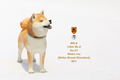 Mr.Z 1/6 Scale Animal Model: Japanese Shiba Inu 001 thumbnail 12