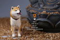 Mr.Z 1/6 Scale Animal Model: Japanese Shiba Inu 001 thumbnail 18