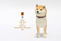 Mr.Z 1/6 Scale Animal Model: Japanese Shiba Inu 001 thumbnail 4