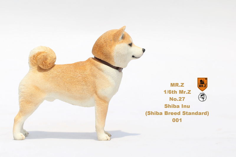 Mr.Z 1/6 Scale Animal Model: Japanese Shiba Inu 001 image 6