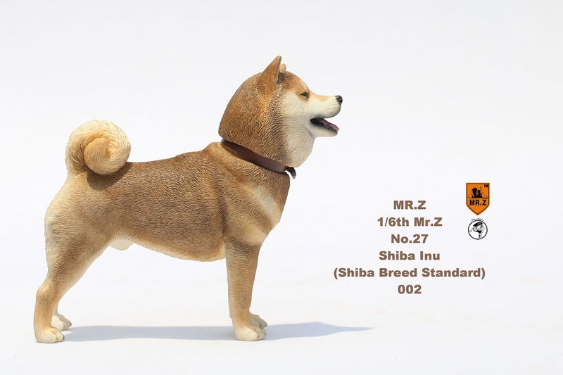 Mr.Z 1/6 Scale Animal Model: Japanese Shiba Inu 002 image 10