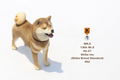 Mr.Z 1/6 Scale Animal Model: Japanese Shiba Inu 002 thumbnail 11