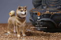 Mr.Z 1/6 Scale Animal Model: Japanese Shiba Inu 002 thumbnail 13