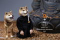 Mr.Z 1/6 Scale Animal Model: Japanese Shiba Inu 002 thumbnail 16