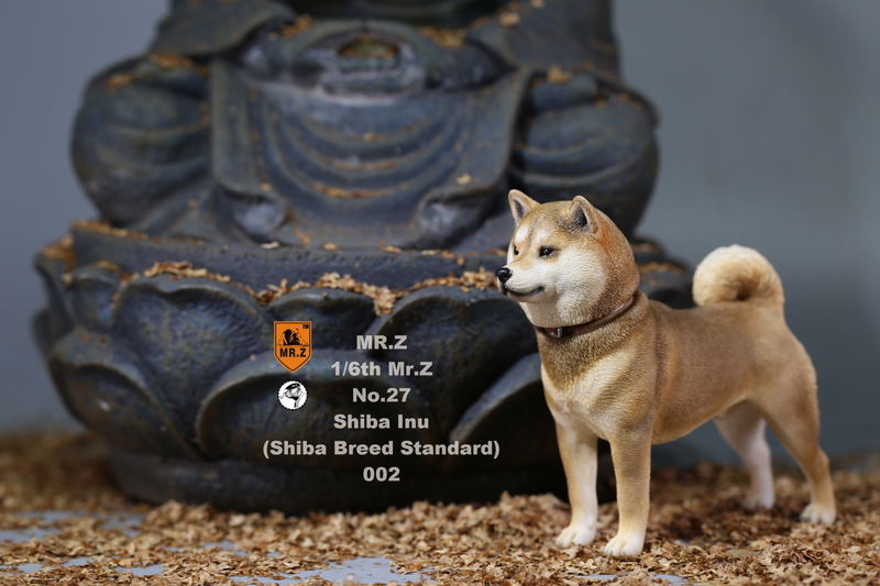 Mr.Z 1/6 Scale Animal Model: Japanese Shiba Inu 002 image 17