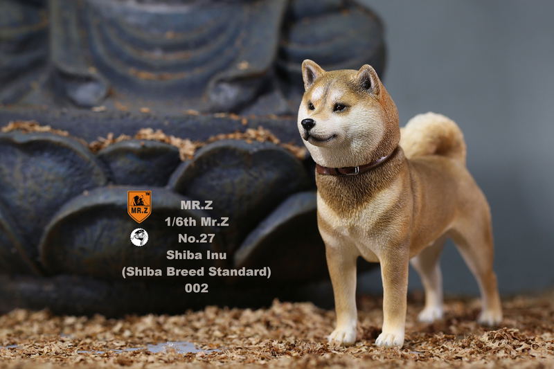 Mr.Z 1/6 Scale Animal Model: Japanese Shiba Inu 002 image 19