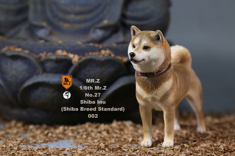 Mr.Z 1/6 Scale Animal Model: Japanese Shiba Inu 002 image 20