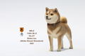 Mr.Z 1/6 Scale Animal Model: Japanese Shiba Inu 002 thumbnail 5
