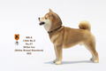 Mr.Z 1/6 Scale Animal Model: Japanese Shiba Inu 002 thumbnail 9
