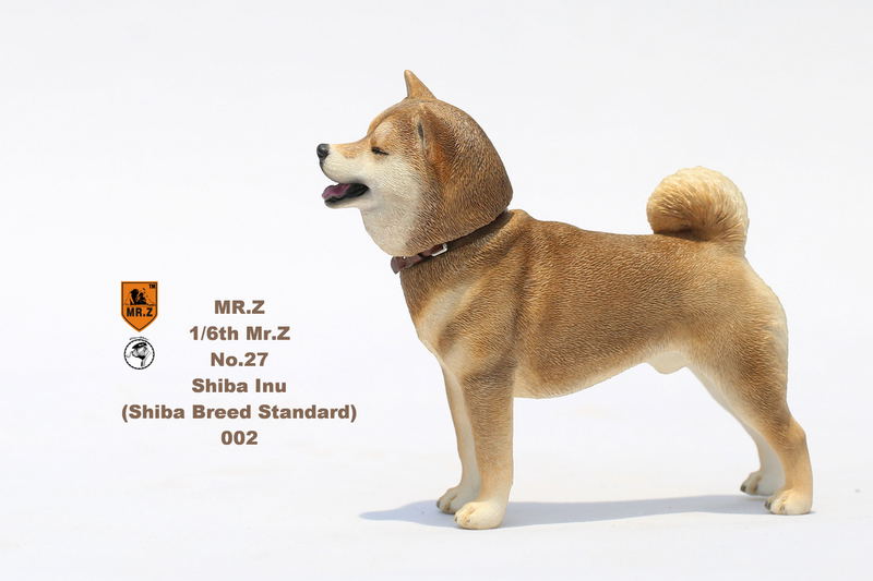 Mr.Z 1/6 Scale Animal Model: Japanese Shiba Inu 002 image 9