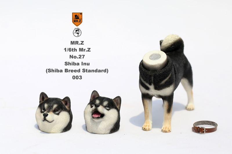 Mr.Z 1/6 Scale Animal Model: Japanese Shiba Inu 003 image 10